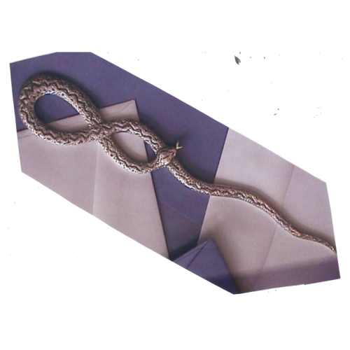 Esculaape (Briefopener) KNO Vrije Universiteit Amsterdam